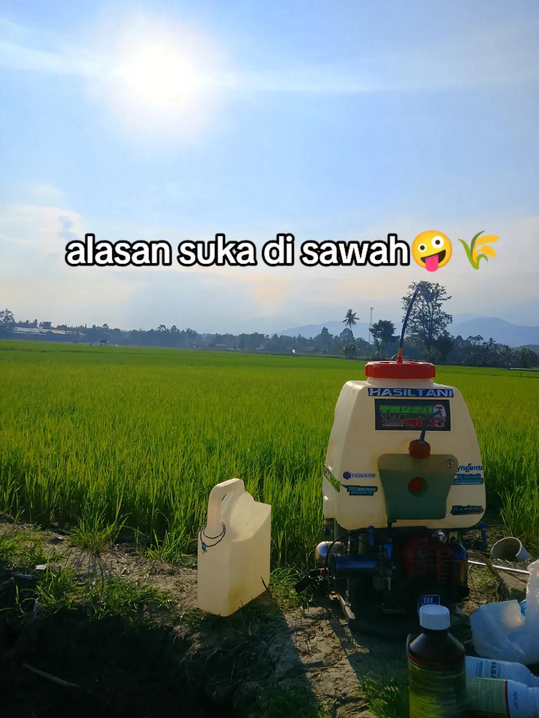 @ADHY 022🚀