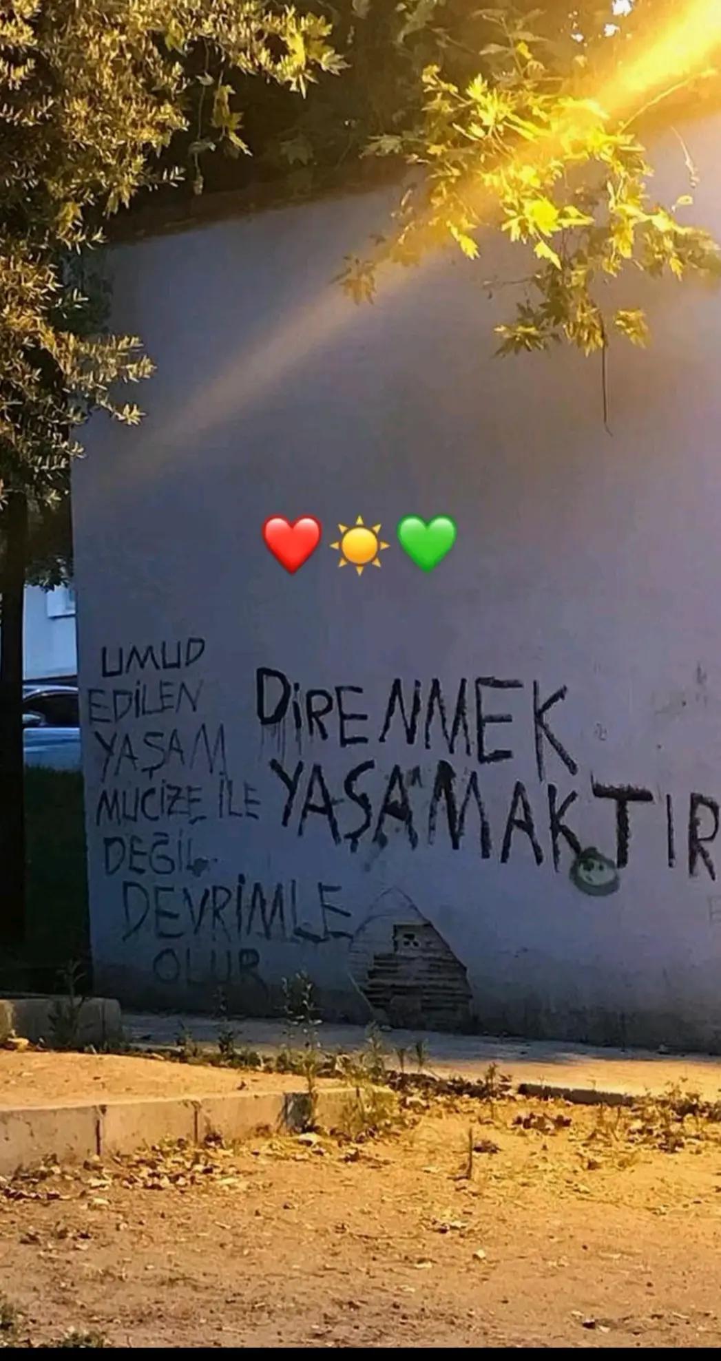 @🕊️