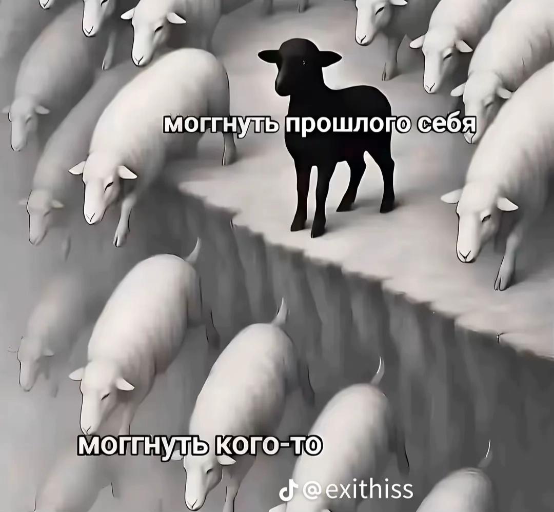 @uliasheechka
