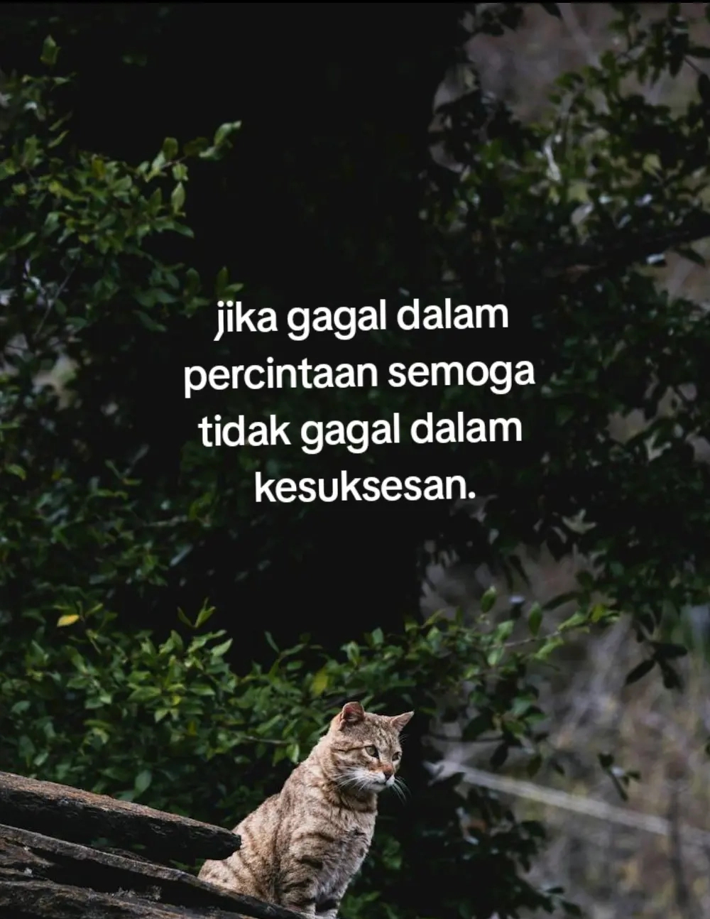 @Nyott🧸