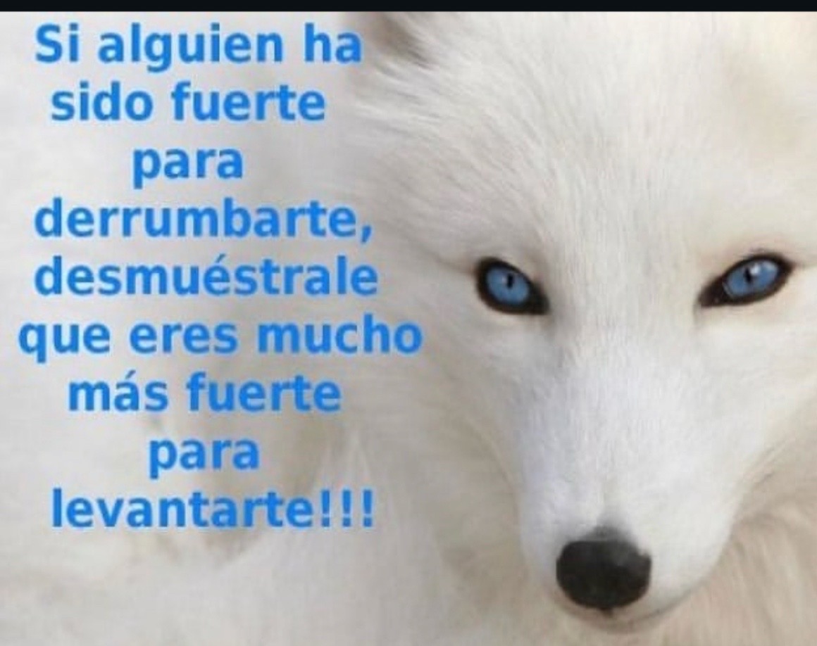 @Rosy2
