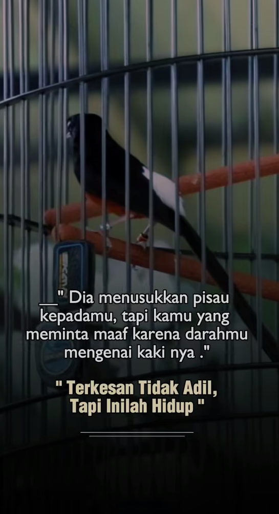 @Andik Febrianto