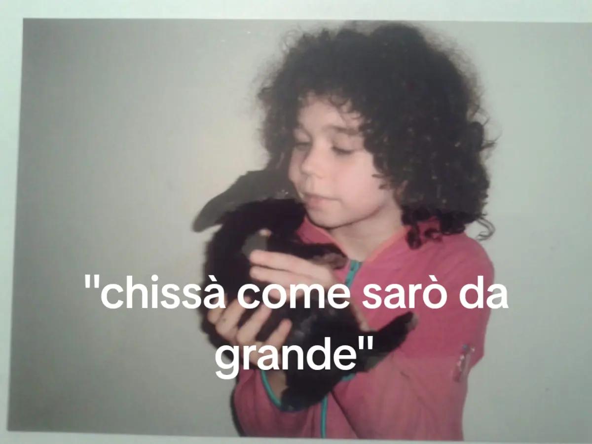 @gatto_