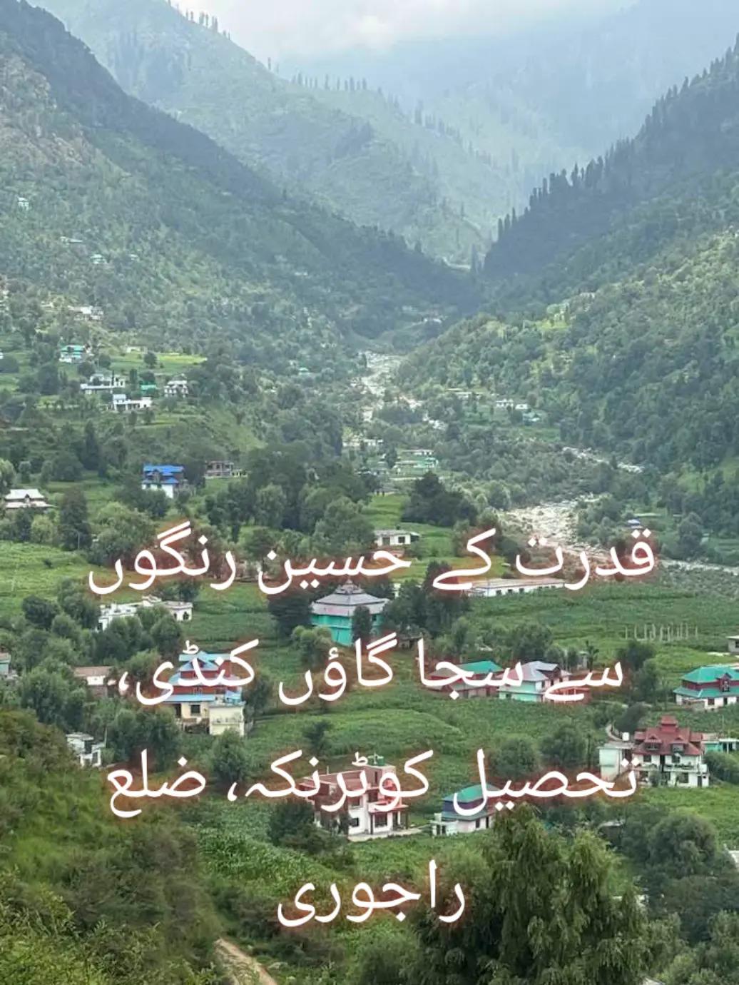 @فیڈ مارشل 804🔥