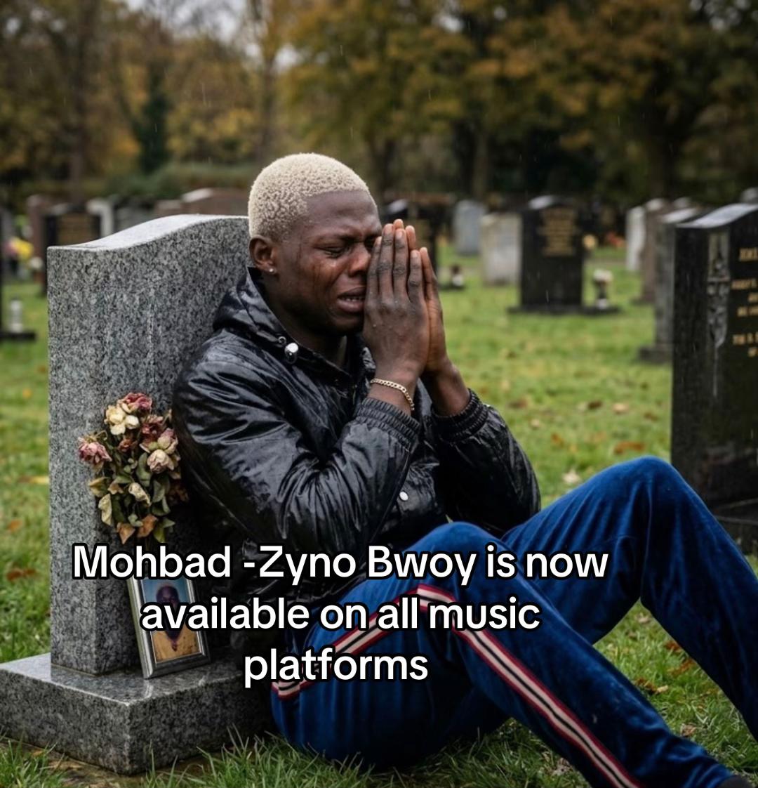 @ZYNO BWOY IQ 🦇