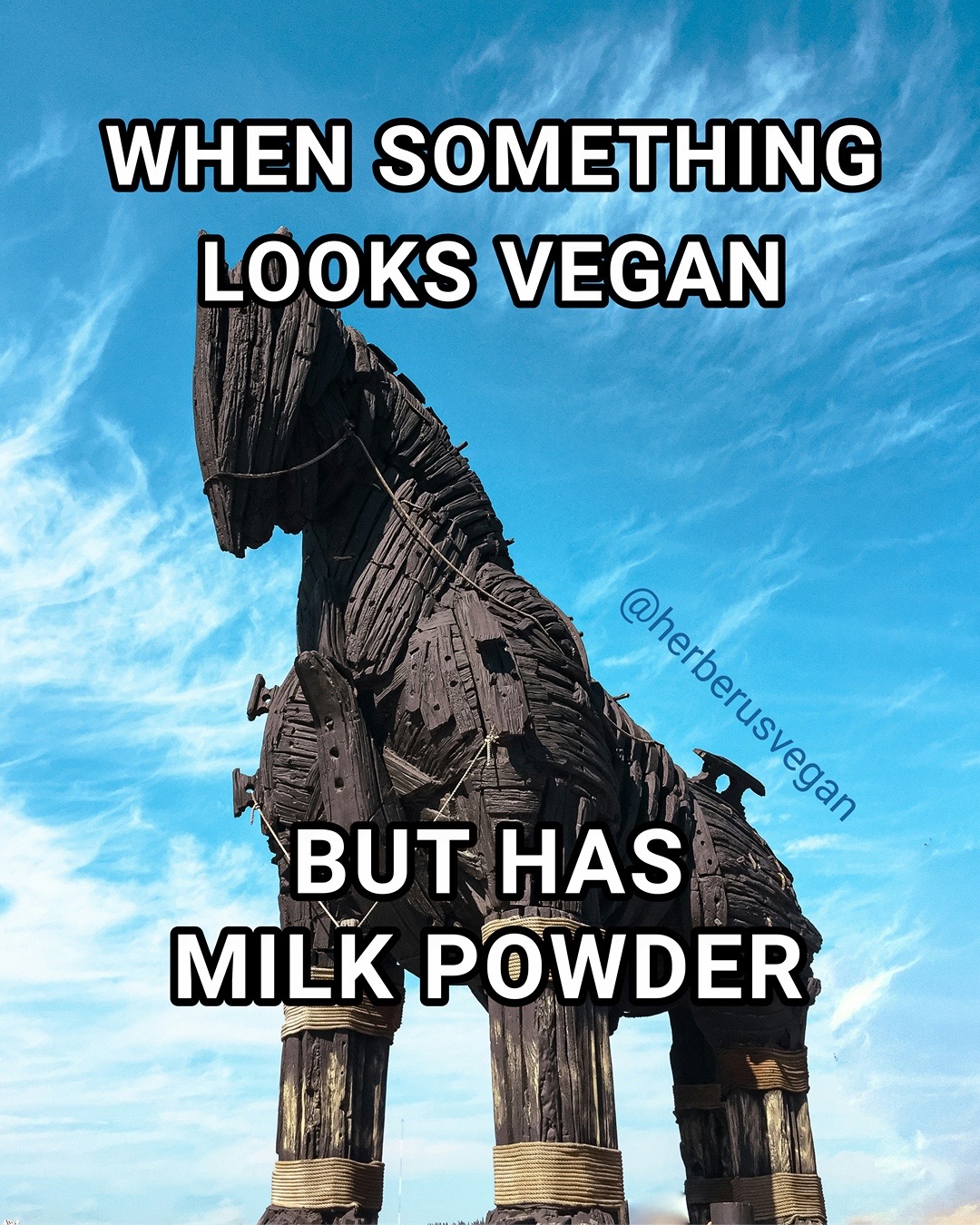 @Herberus Vegan Streetwear