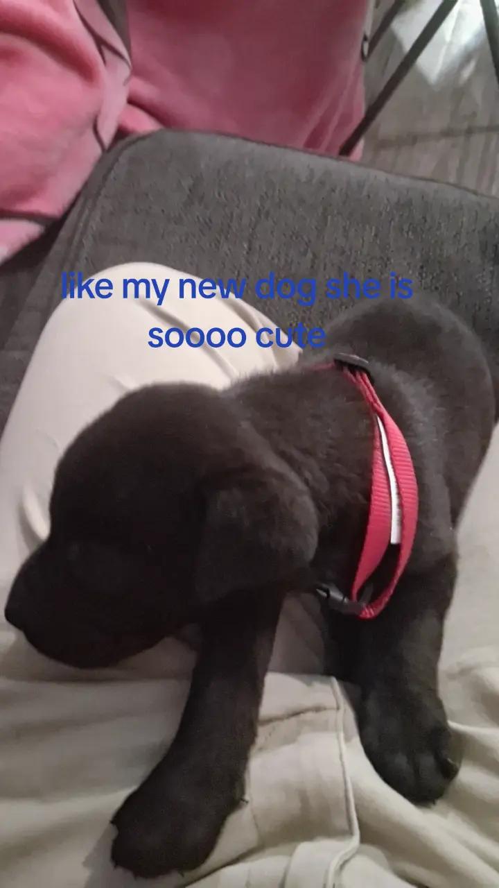 @123.1111