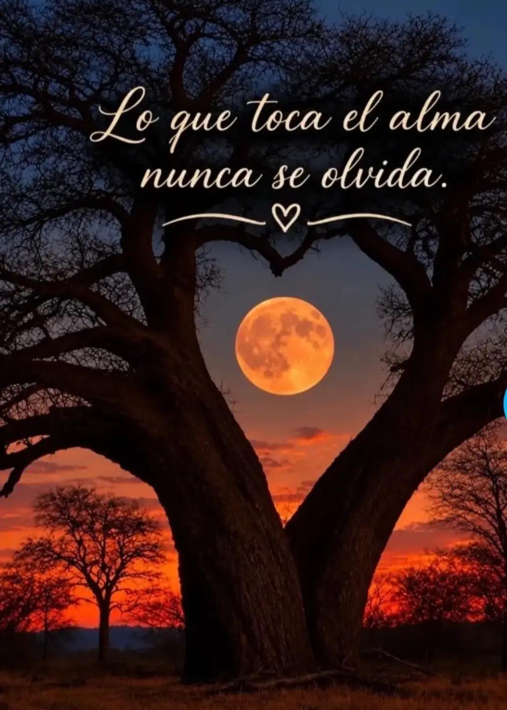 @china ortiz