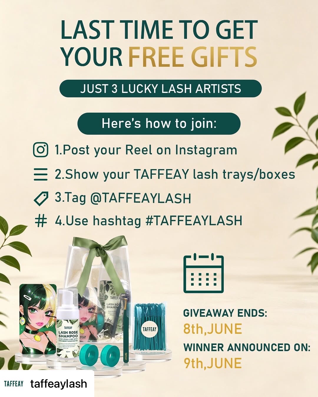 @Taffeay_aurora