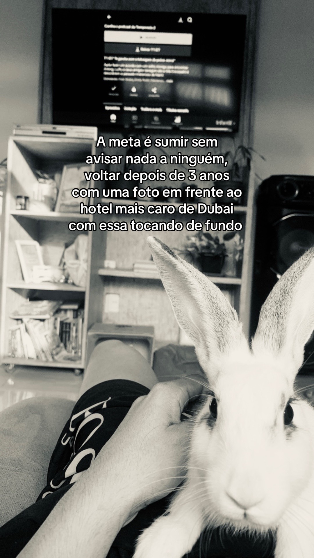 @Rafael