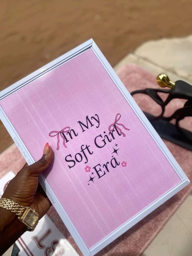 @Lisa’s Aesthetic pin frame