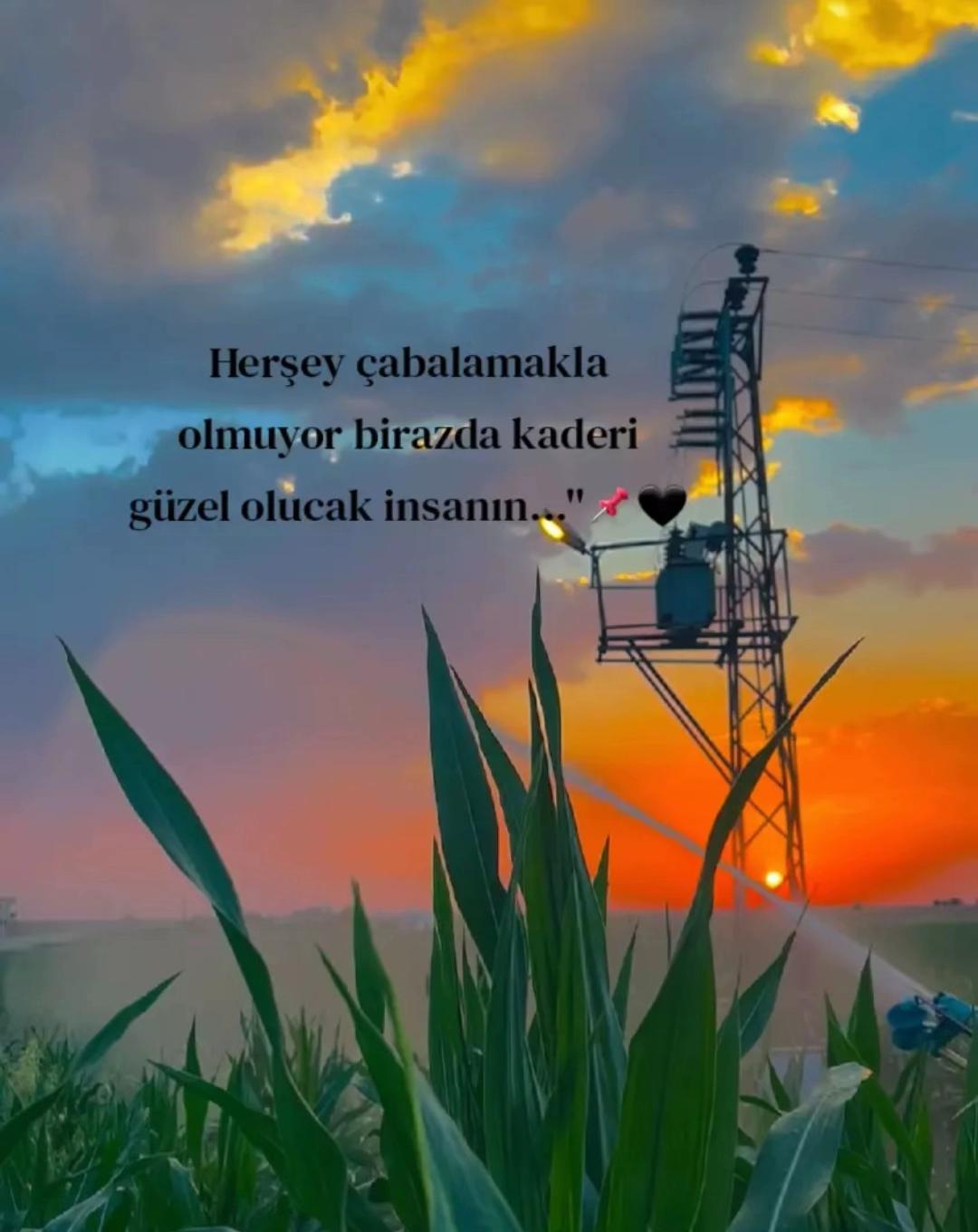 @sozun_bittigi_yer410