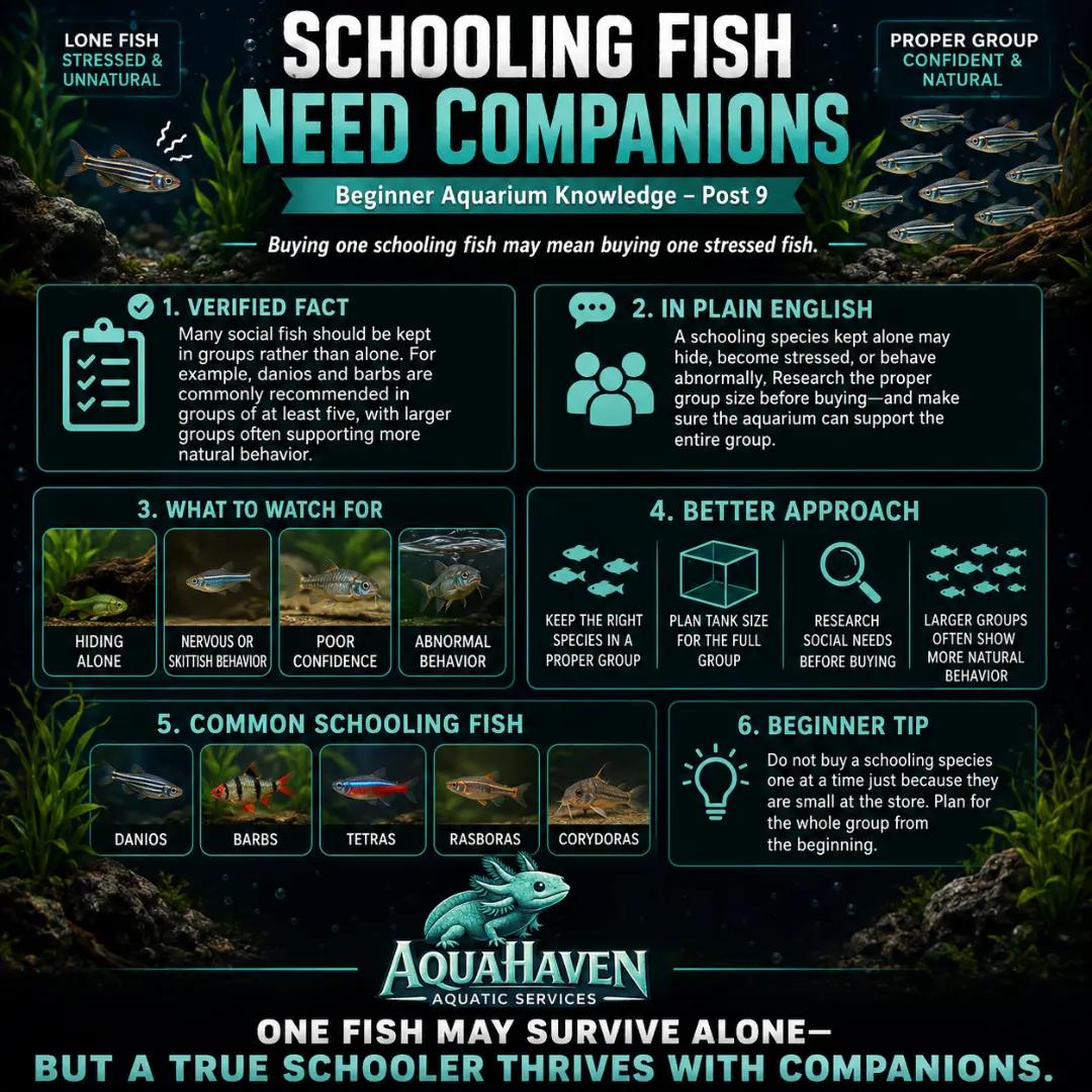 @AquaHaven™️🐠🌌🌊