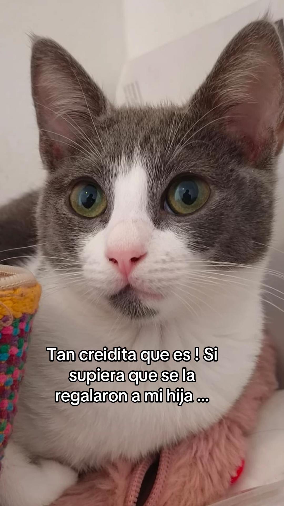 @L.N Angelica Mtz