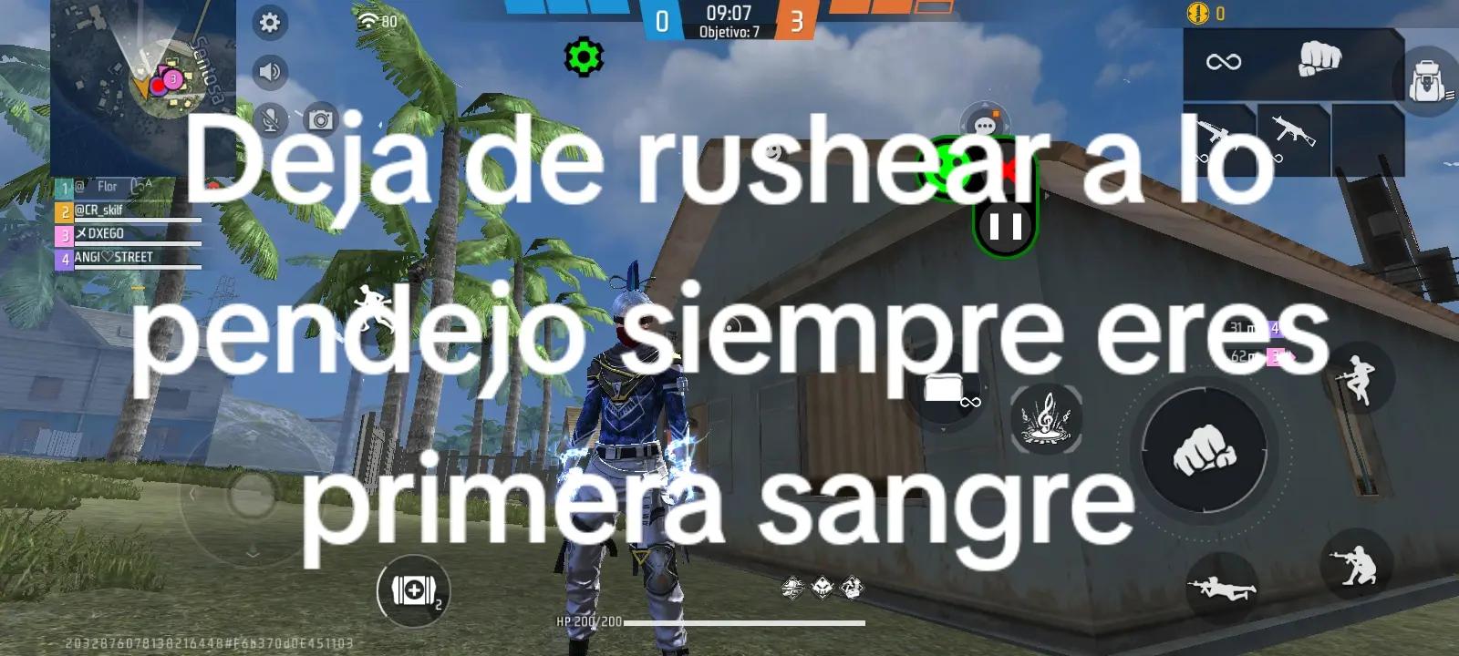 @Insano