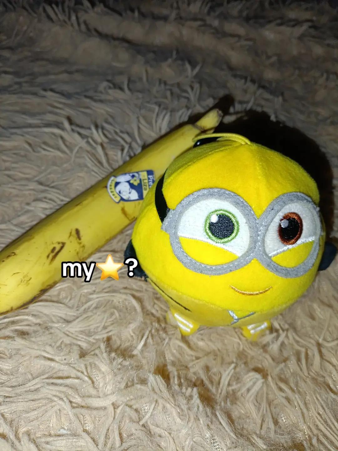 @evatop