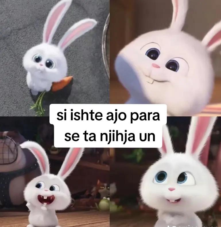 @M&aacute;řs&sect;&iuml;ii♪✈︎❤̷̸̧̤̺͕̮