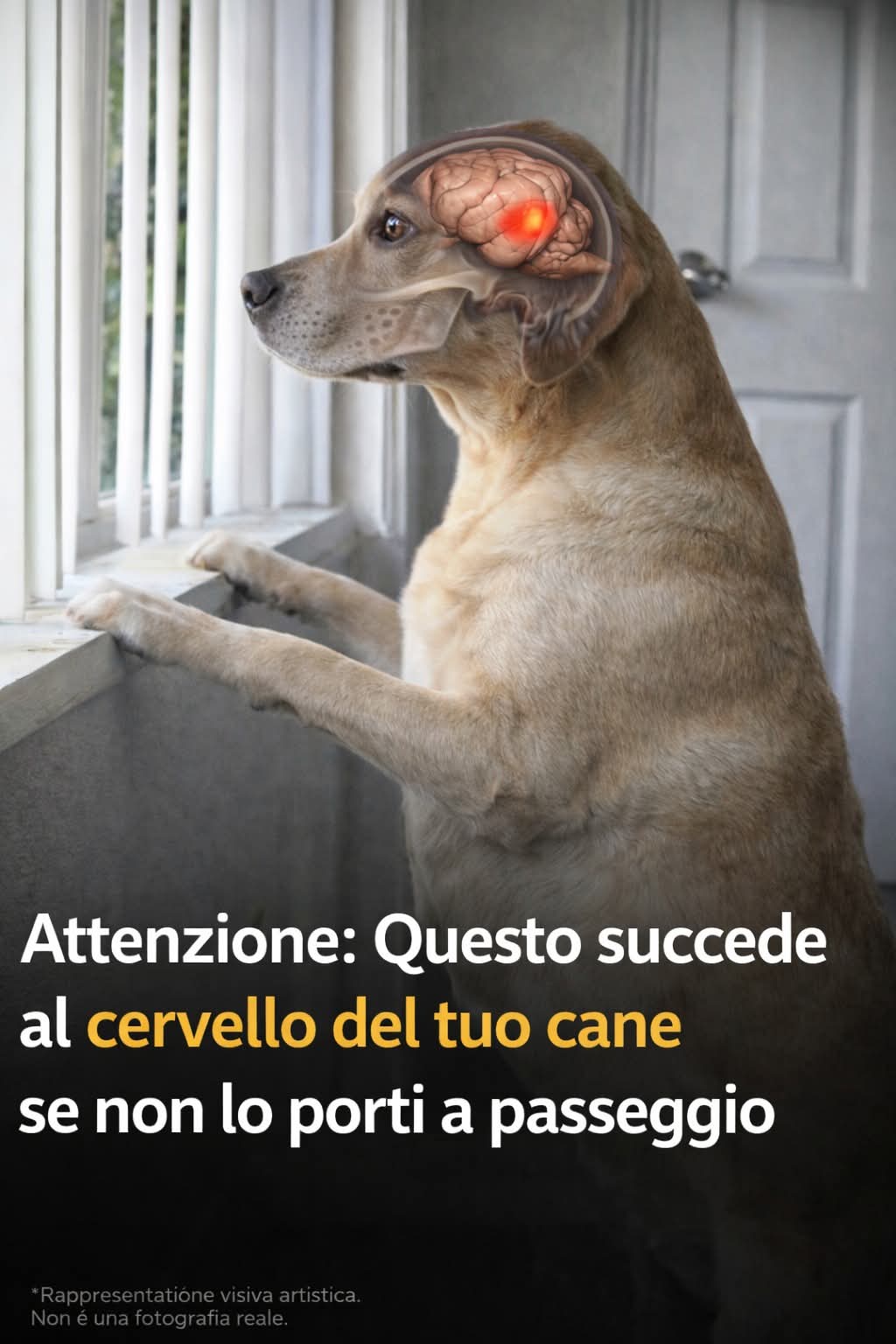 @⚠️ IL RE DEI BULLY ⚠️