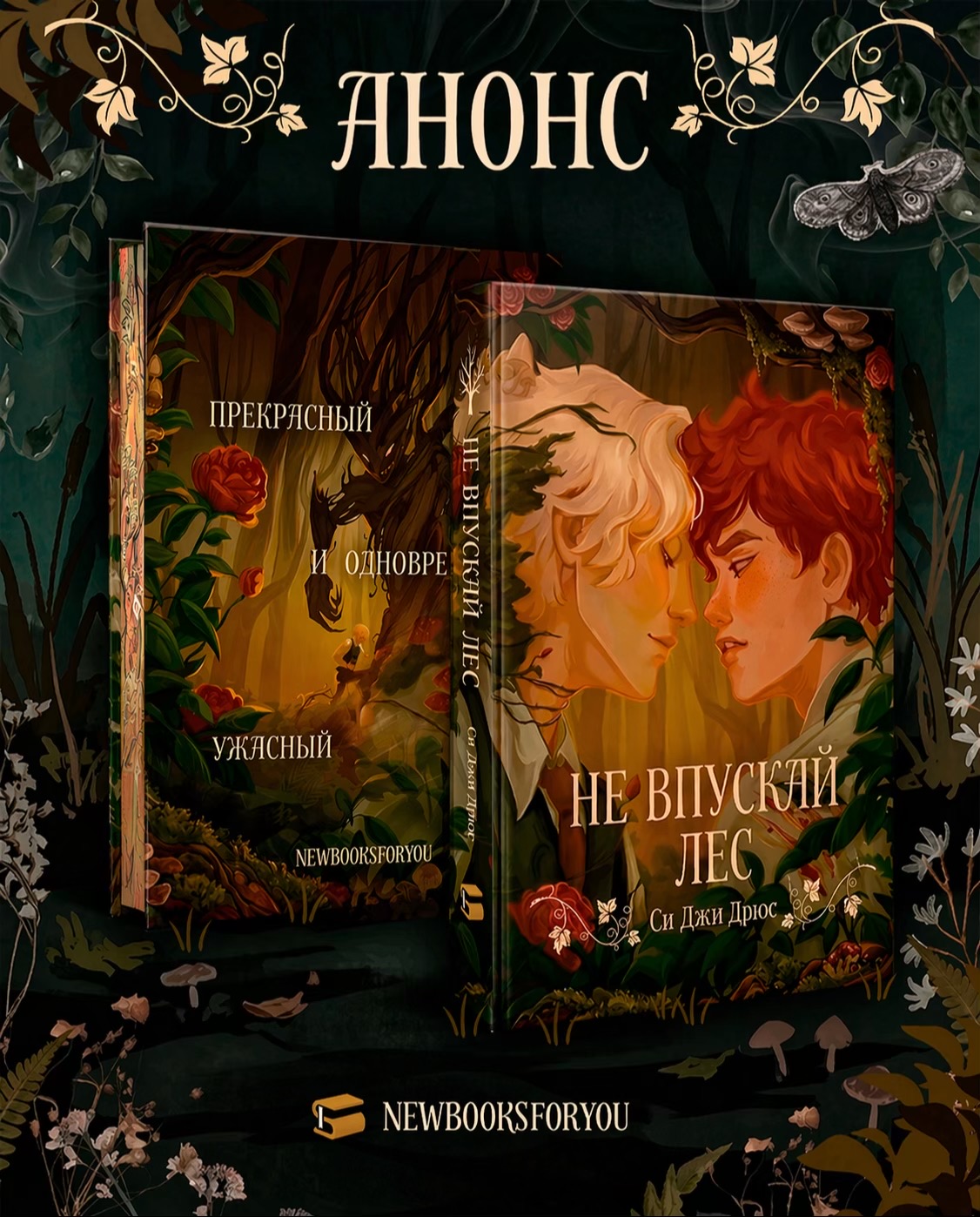 @NEWBOOKSFORYOU