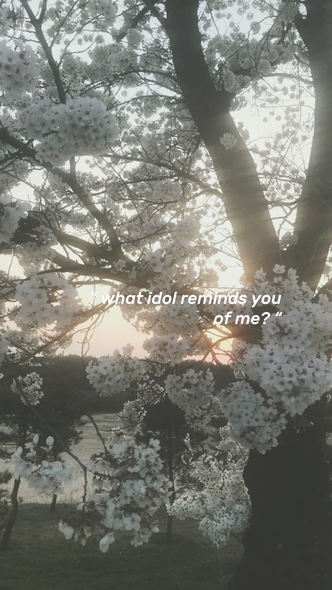 @melon
