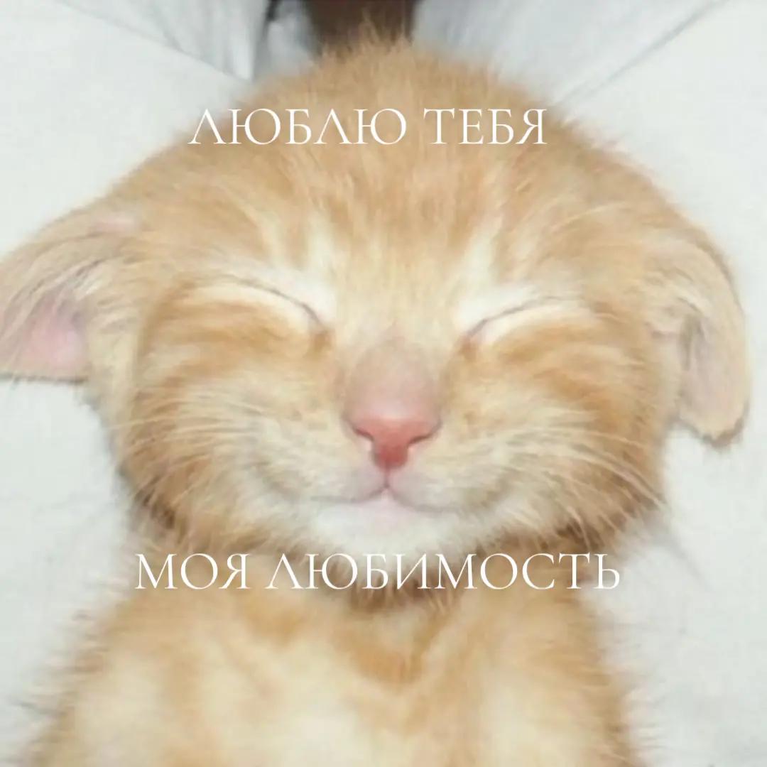 @Дочь Гектора✩