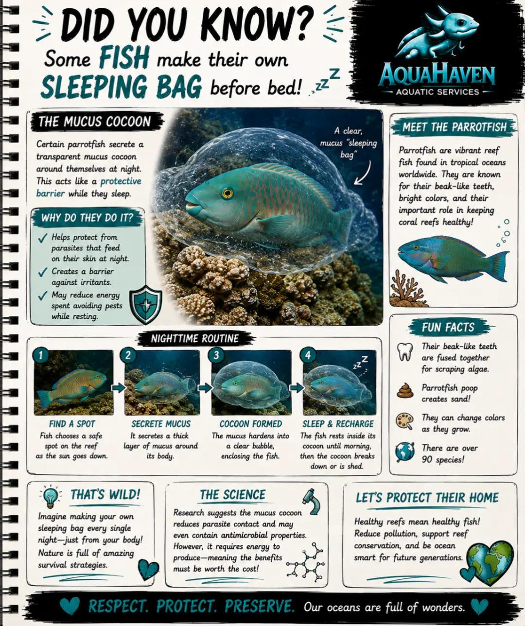 @AquaHaven&trade;️🐠🌌🌊