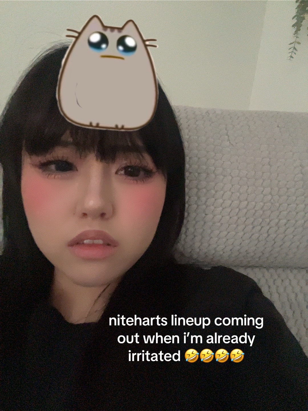 @🐰