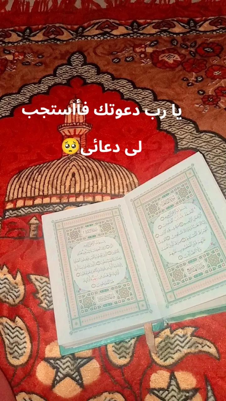 @🦋نور_س🐆