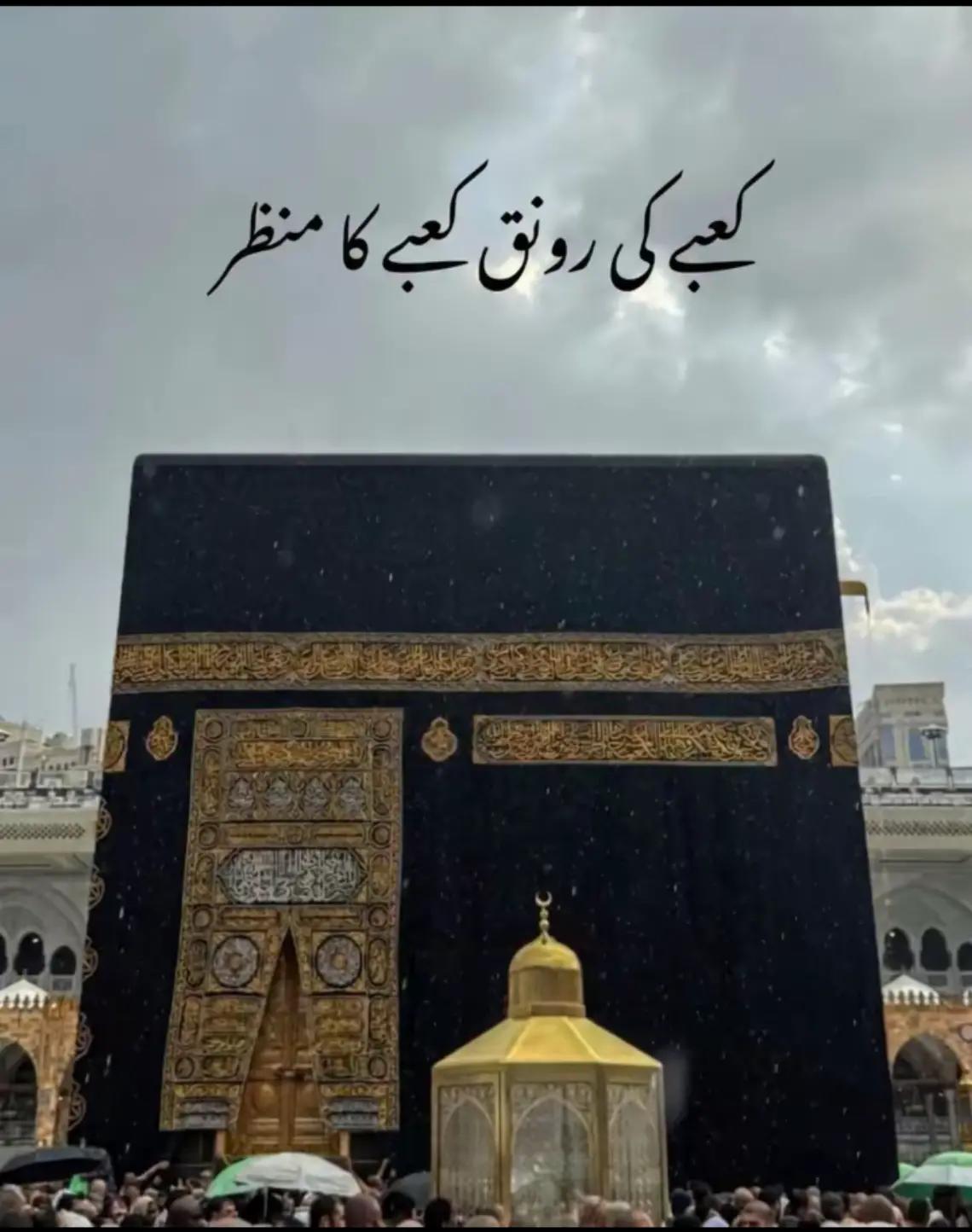 @HUMAIR. 46🐯🐯