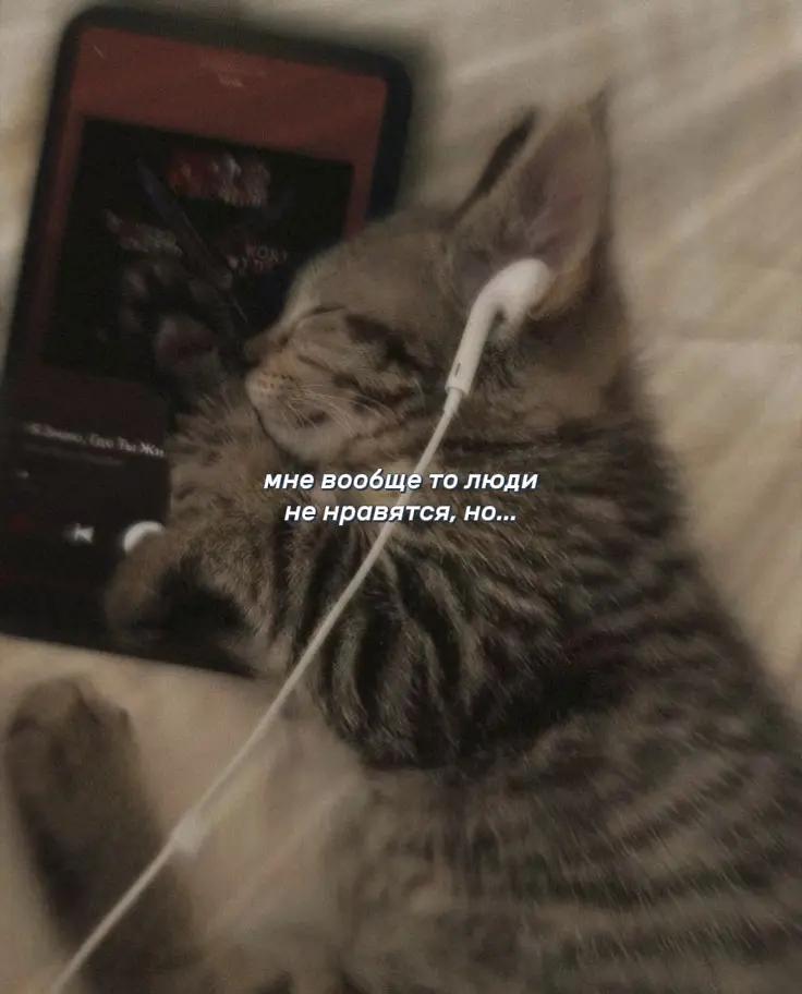@лизочек🍃