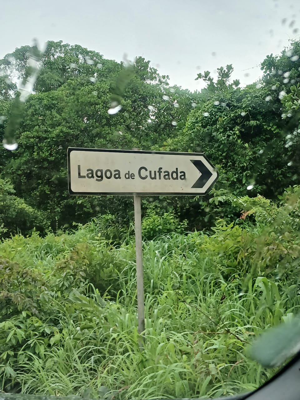 @BIAIALONABLC2