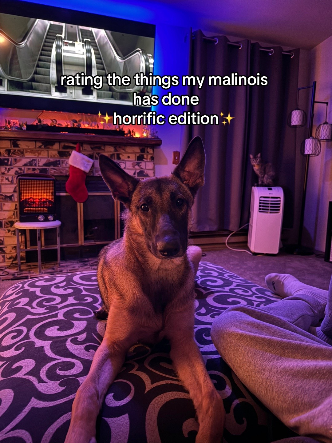 @k&aring;rł&yuml;