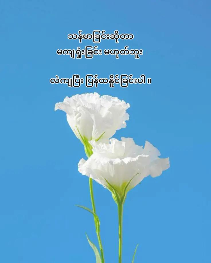 @â°âđđžđťđ¸đťđŞâŠâ