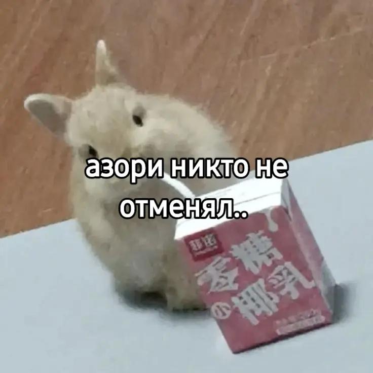 @чокопао 🍅