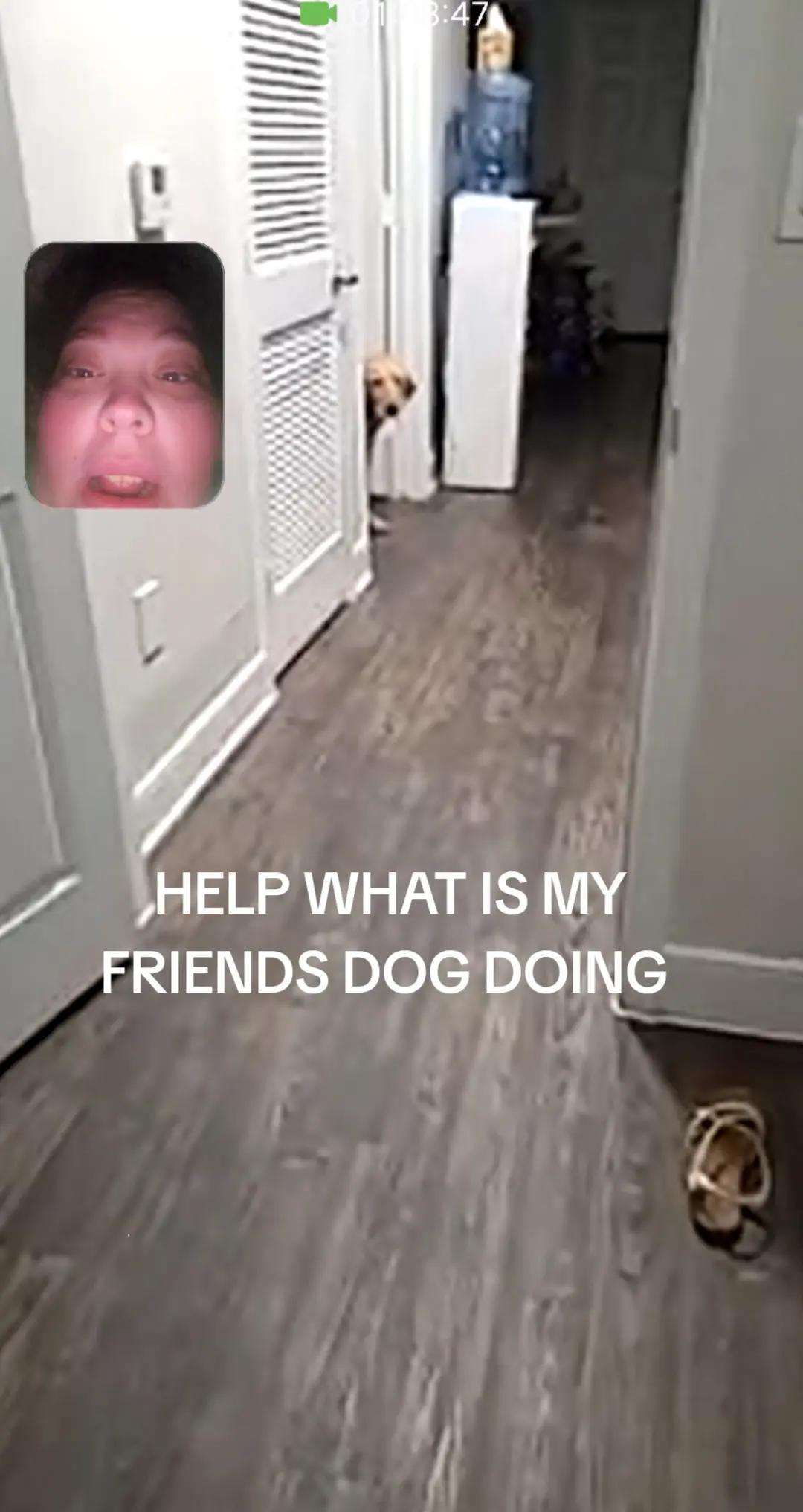 @Emma