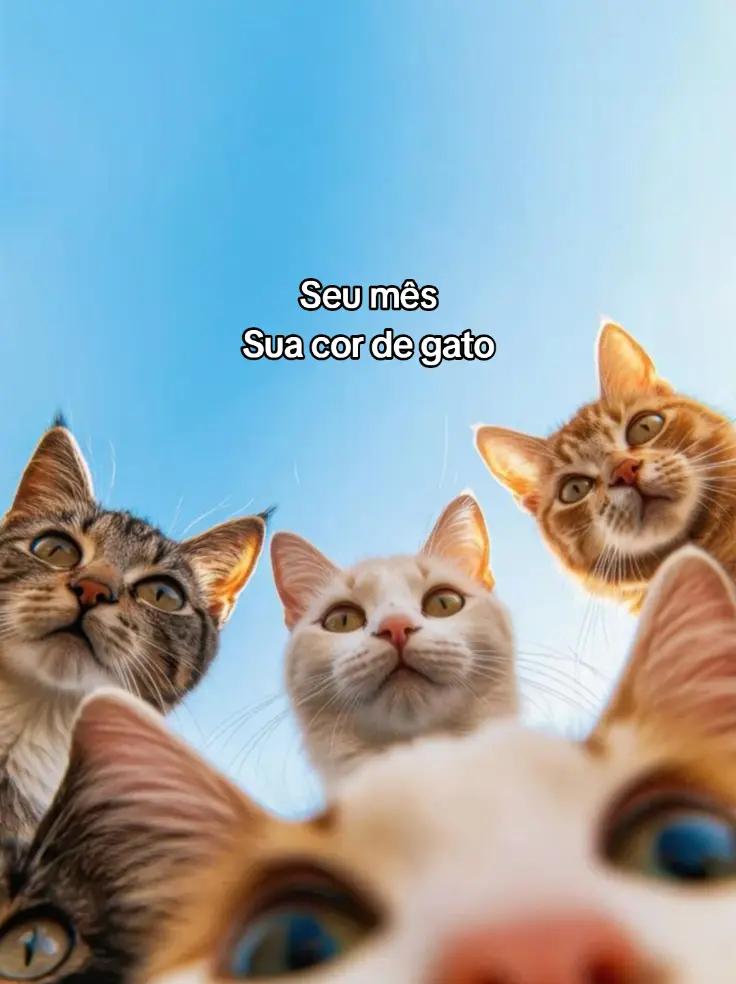 @Manu😼