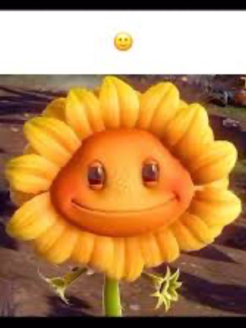@Conflicted