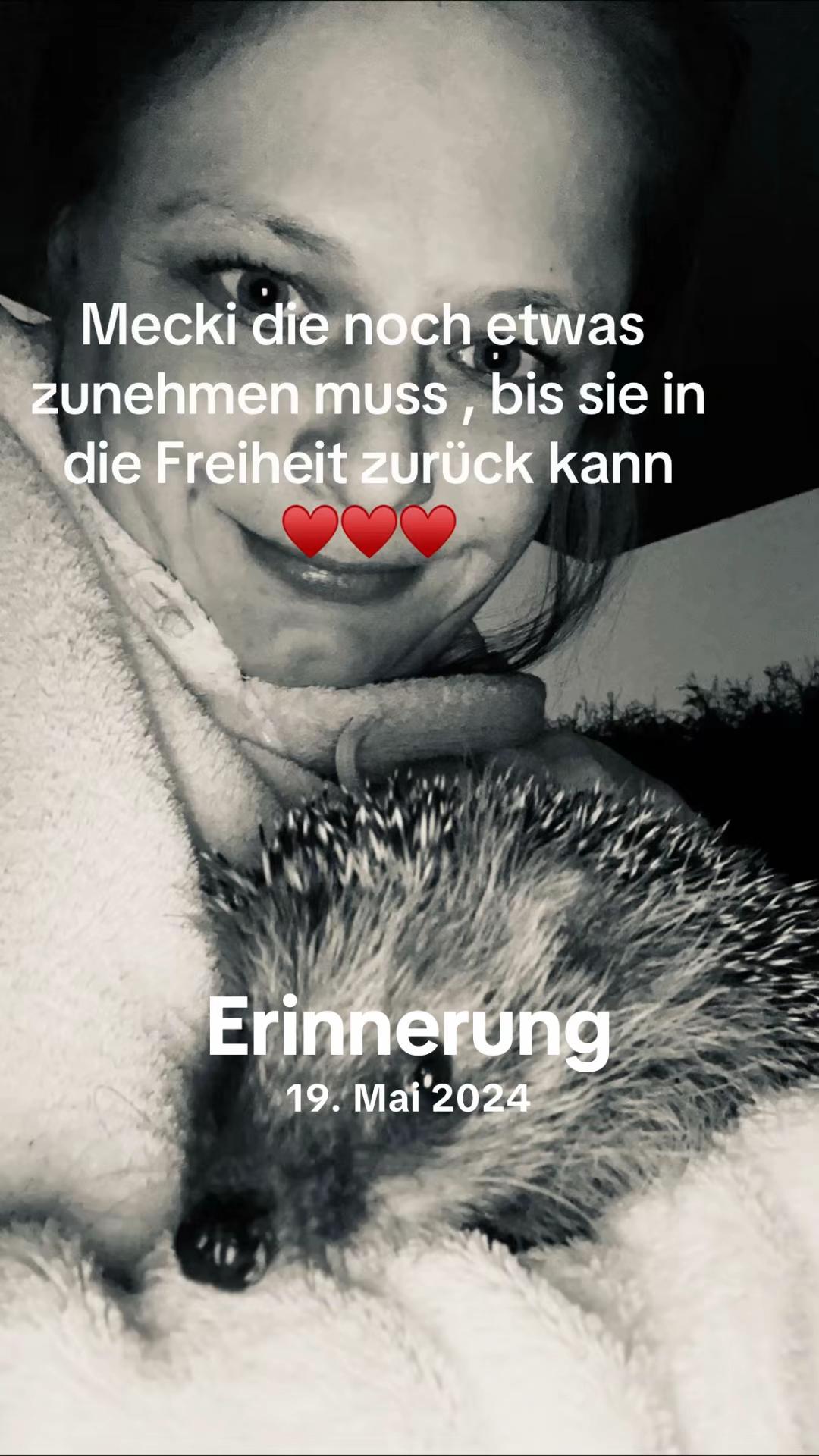 @Sally_Freyja