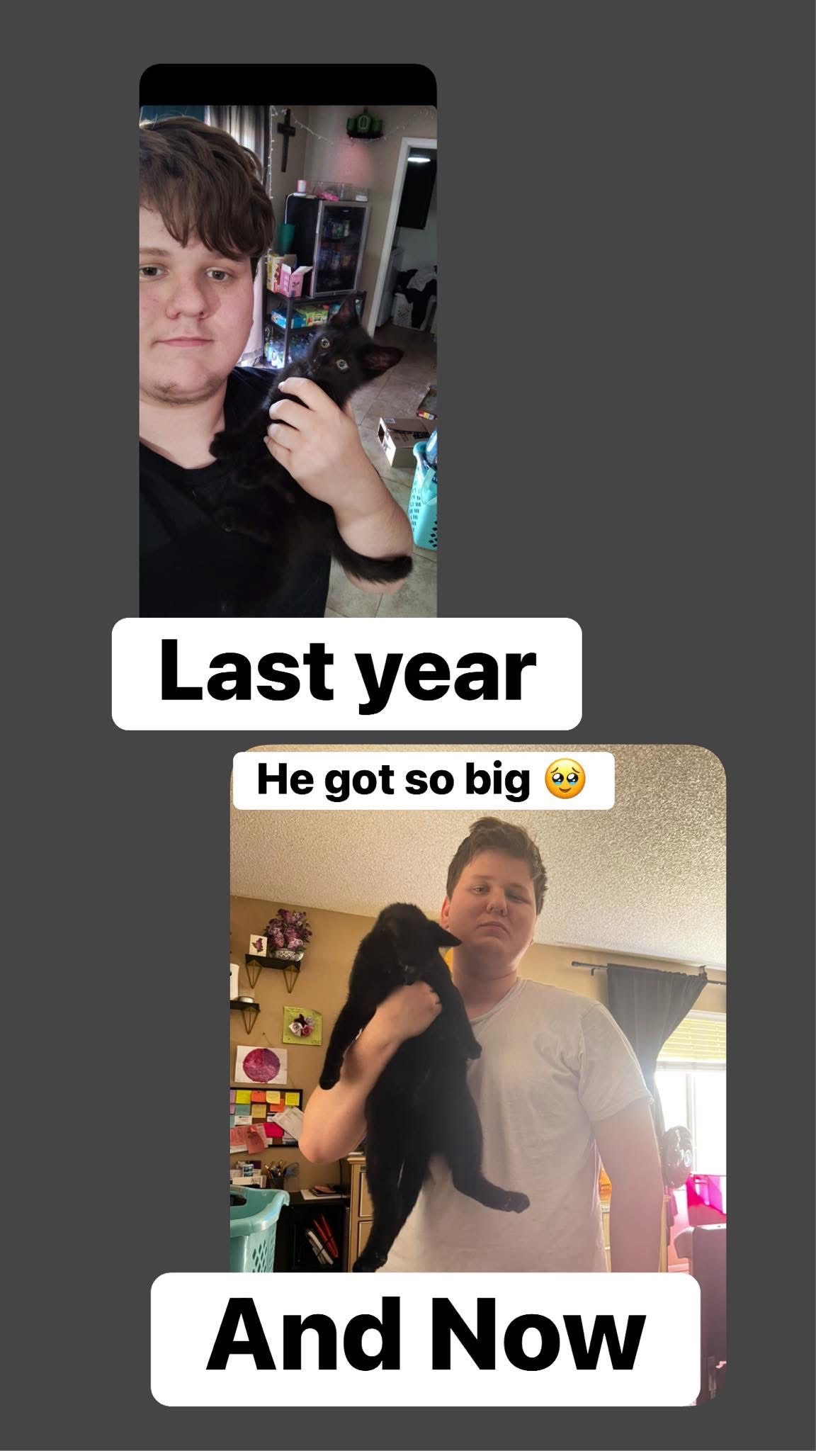 @Tasha
