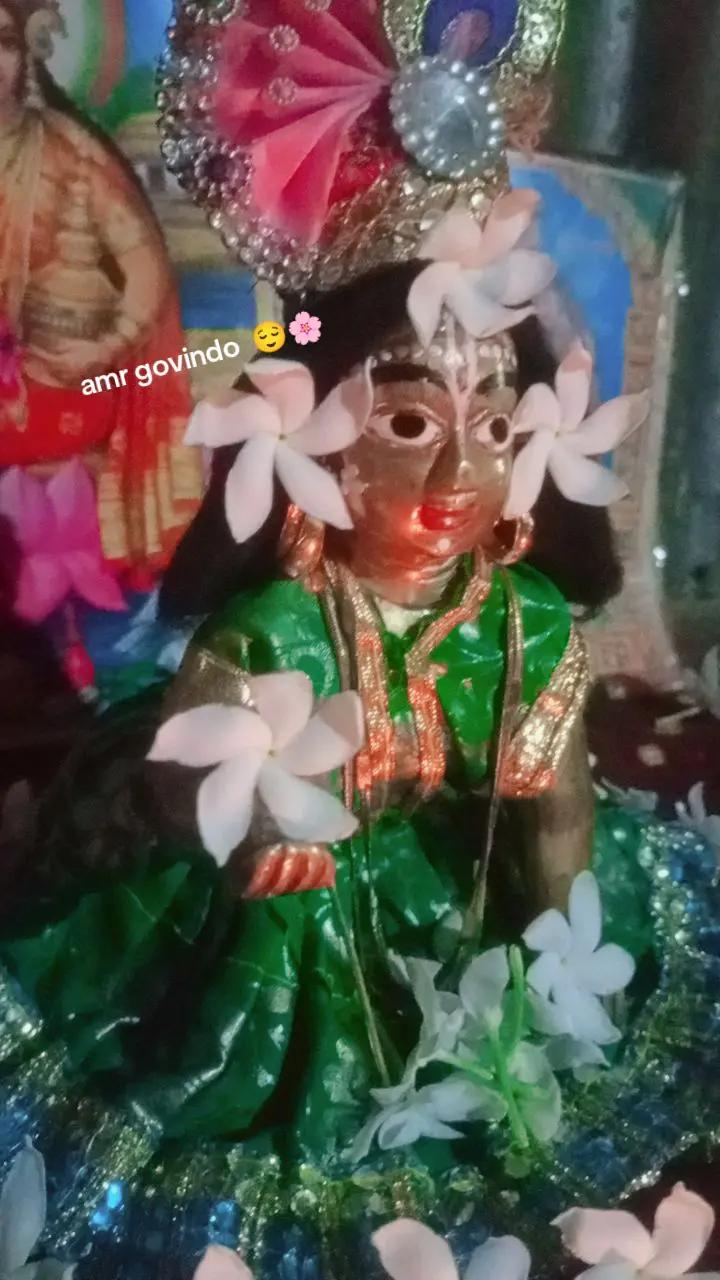 @🦋🌸 Ṡ𝓾c𝖍𝖎𝙩𝗿&alpha; 🌸🦋