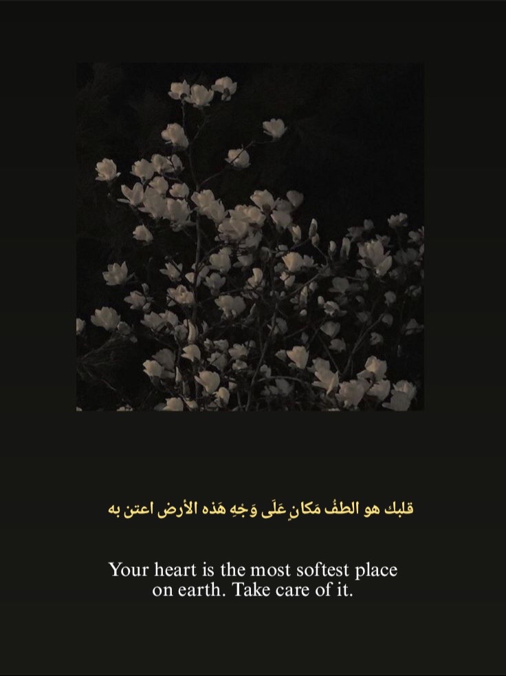 @شَ