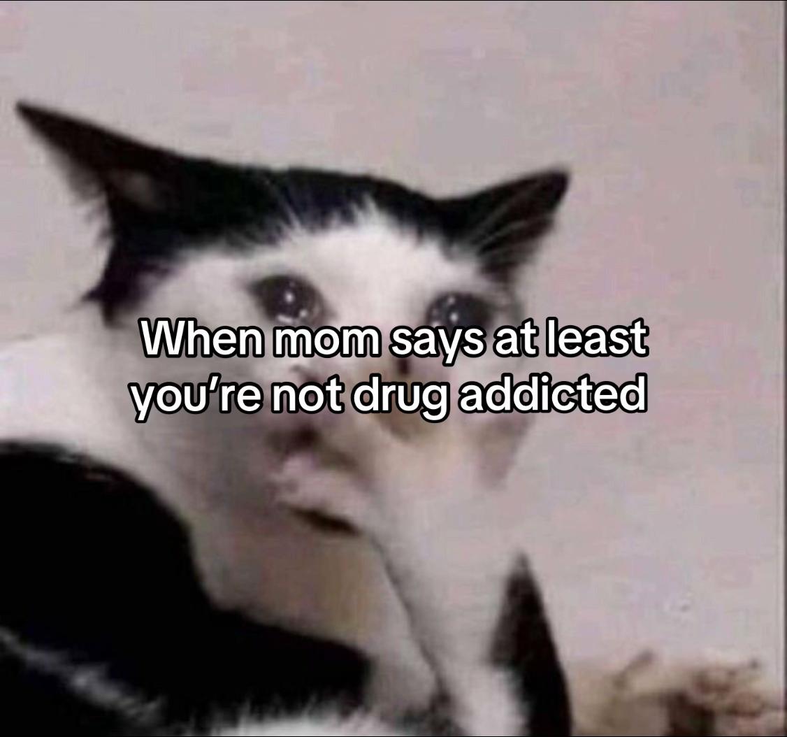 @Meow kitty
