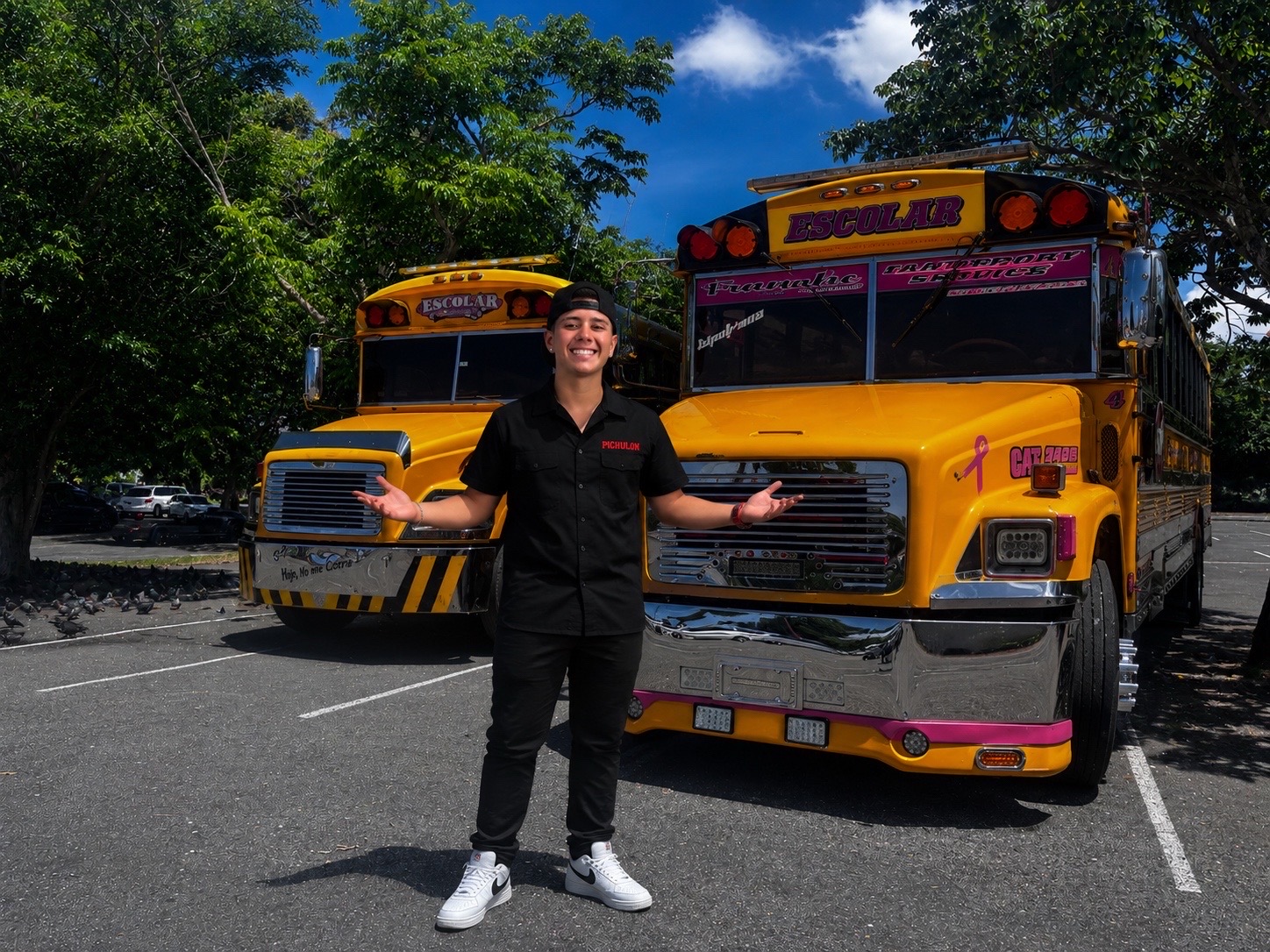 @Pichulón Transport service
