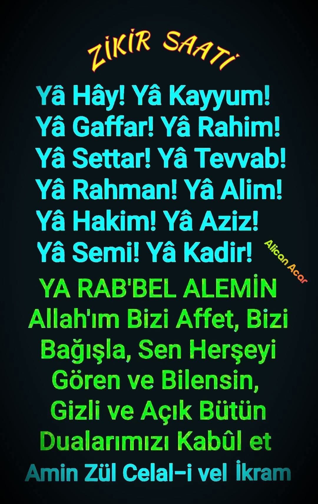 @şeenol Albayrak