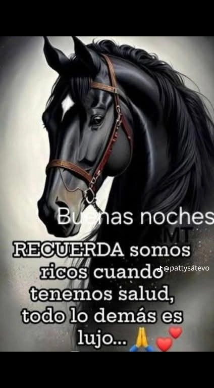 @Ranchero100%