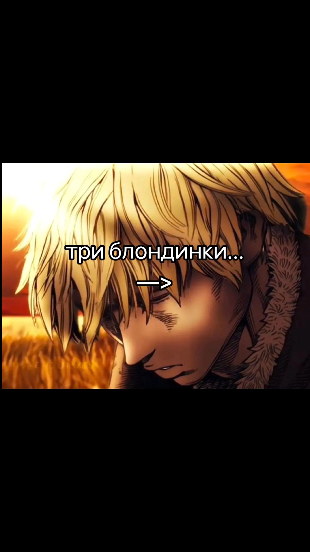 @Шутки от Торфинна