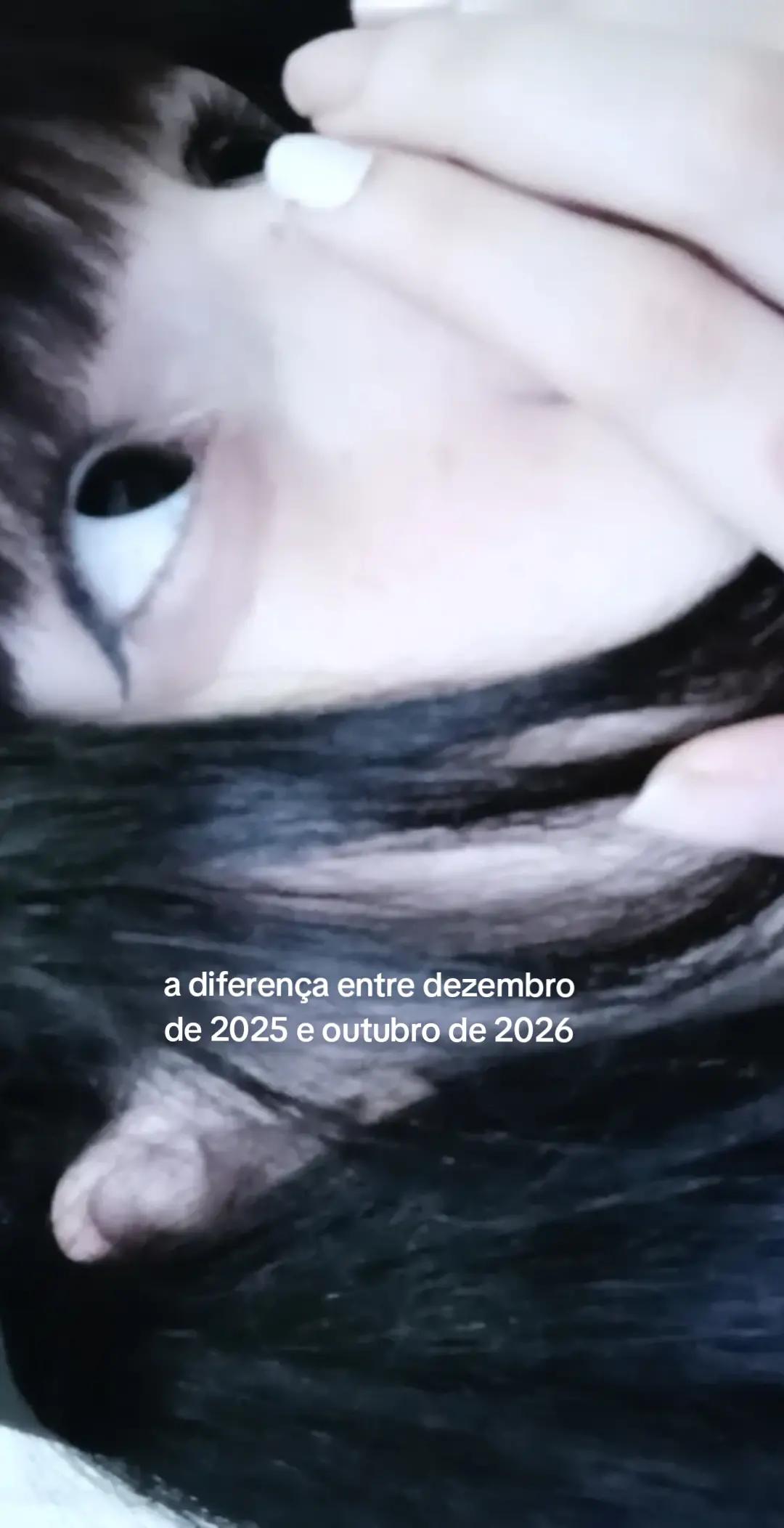 @ʅυʅυ