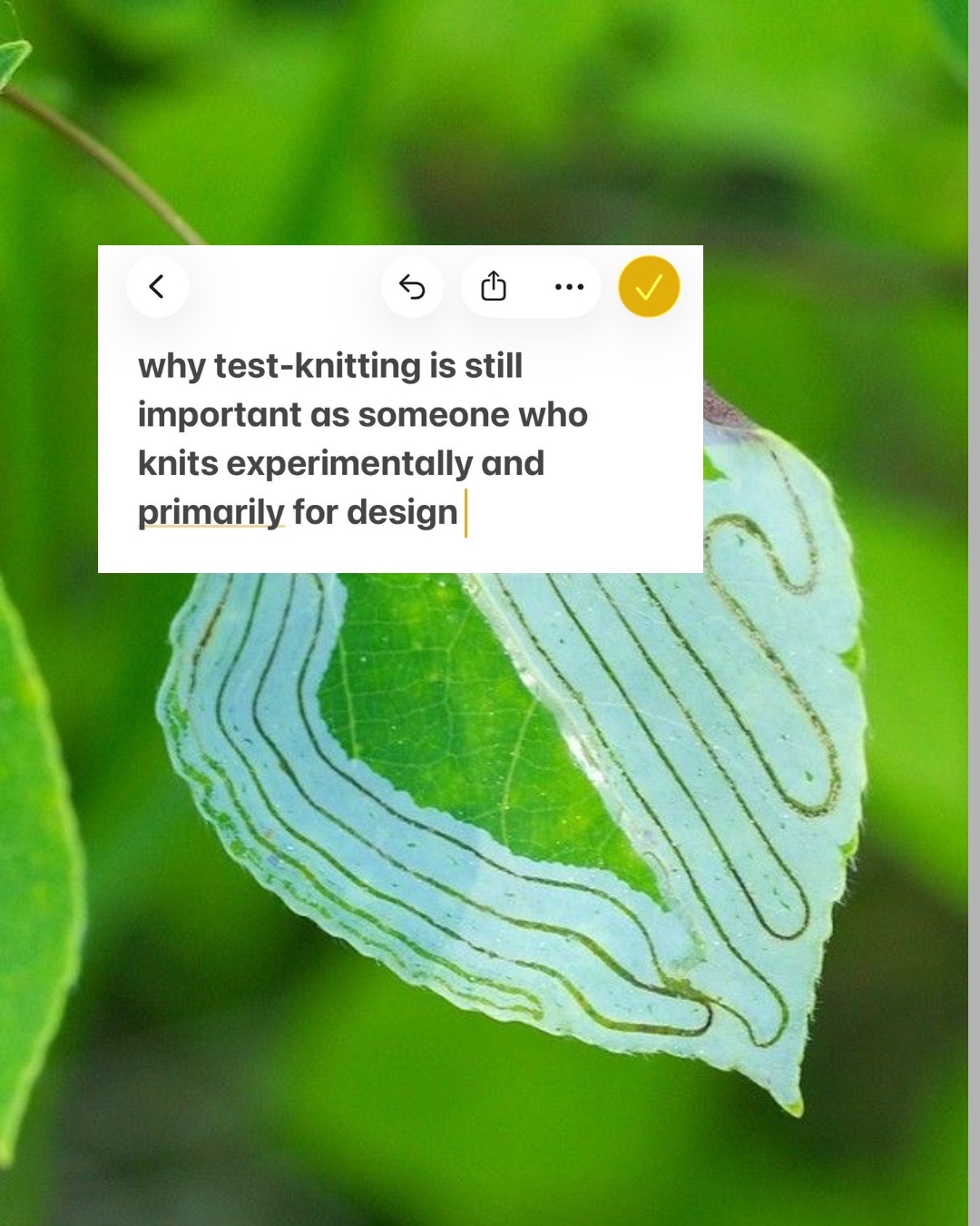 @sam 🐛 sayless
