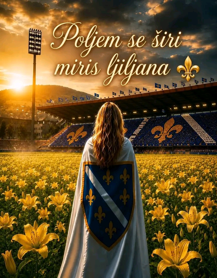 @Ajla Ramić