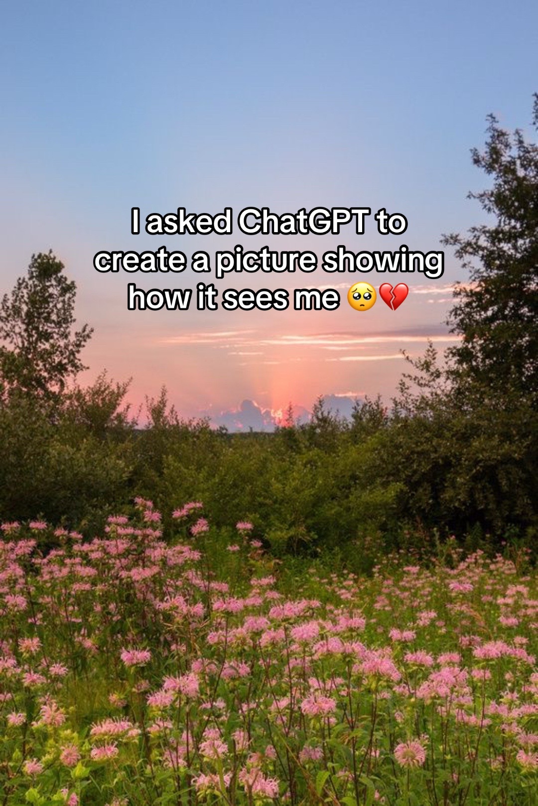 @Lexy&Kole❯❯❯❯❯🦋